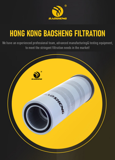 HITACHI EFI Return Line Oil Filter Replacement 4656605 4656608