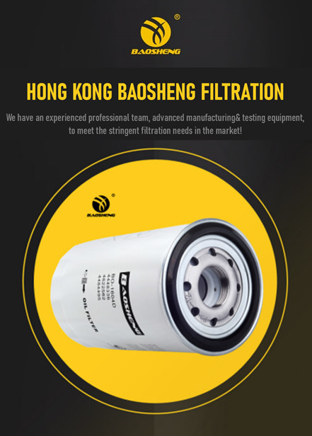 BAOSHENG Excavator Oil Filter 4484495 P550596 Truck Fuel Filter