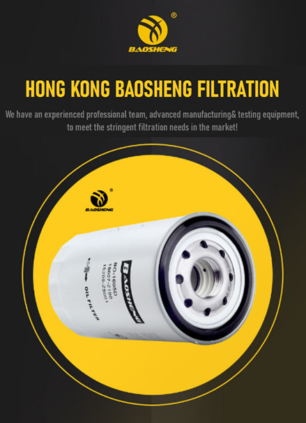 LF16226 C-1316 15607-2190 Excavator Oil Filter For HYUNDAI R215-9 EFI