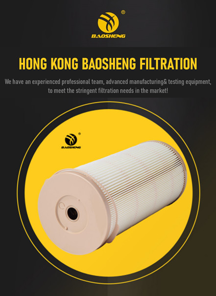 1000FG Oil Separator Filter Element P552020PM 244mm Height