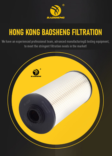 BAOSHENG Excavator Fuel Filter D638-002-802A+A 23390-E0020
