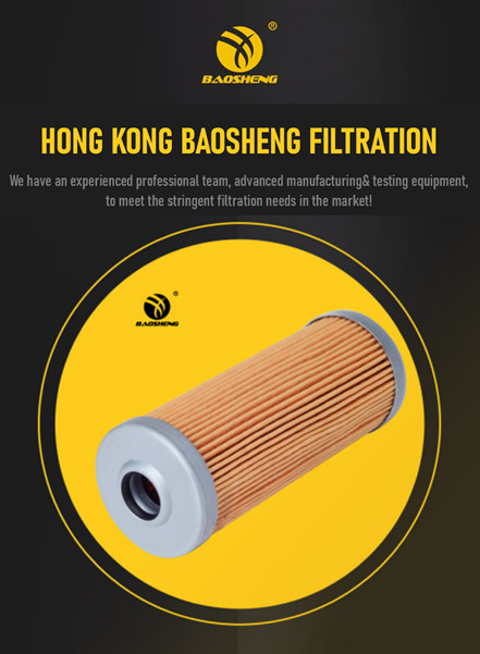 KOMATSU PC30-1 Excavator Fuel Filter FF5259